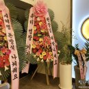 로이드밤고강점 이미지