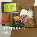 롯데리아광명하안점 | 광명 하안사거리 [샐러디] 칼로리 영양성분 메뉴 추천