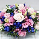 혜림원예 이미지