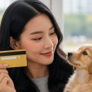 나들가게 쌍둥이하이퍼 | 국민행복카드 발급 &amp; 바우처, 카드만 받는다고 끝? 돈 받는 법은 따로 있어요 (종류별 총정리)