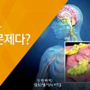 [독서] 식욕을 조절하는 뇌의 두 영역(관련 영상) 이미지