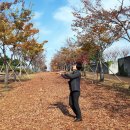 박제상기념관 이미지