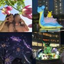 에스티엔월드아레나다산 | 잠실 놀거리, 2024 한강 드론쇼 / 석촌호수 포켓몬 관람 후기 (위치, 명당, 주차 꿀팁)