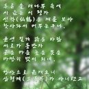 담양 만옹정 이미지