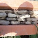 연근농장 이미지