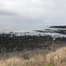 토산2리 이미지