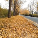 공주교도소부속의원 이미지