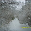 눈과 얼음에 덮힌 지리산..거림>세석>한신계곡>백무동..(090124) 이미지