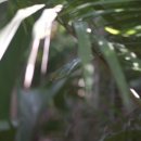 (주)케이지환경 이미지