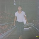 행복양계장 이미지