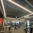 일프로짐 이미지