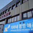 지아 애견샵 이미지