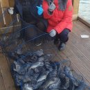 영흥바다낚시터 이미지