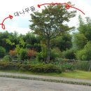 한국대나무박물관 네이버블로그