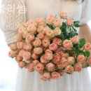 제이블라썸