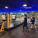 수성아트복싱클럽 이미지