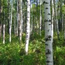 시간의 홀 이미지