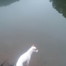 여주-0904 이미지