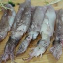 박달수산 이미지