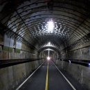 양평-양서-양서-04 이미지