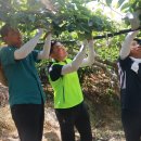 동부산농협 이미지