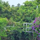 동광리-12 이미지