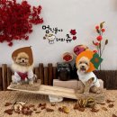 멍문사립유치원 리틀멈머 | [리틀멈머유치원]작년 추석의 추억/작년 눈밭의 추억