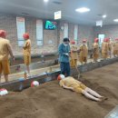 초록미소마을 이미지