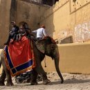 고대 계단식 우물과 “하늘의 성”이라는 뜻을 가진 자이푸르의 암베르 포트(Amber Fort) 이미지