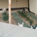 성동구청 뒤편 이미지