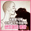 핑크스토리 - 진천군 중앙동6길 20 | 핑크스토리