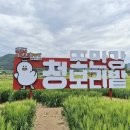 조만강생태체육공원 이동식화장실 | 경남 김해 5월 가볼 만한 곳 조만강 생태공원 청보리밭 포토존