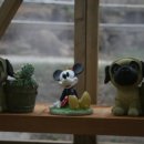 민들레농장 이미지