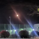 영암군 공설운동장 이미지