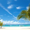 꿈꾸는 가족 이미지