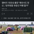 잼버리 ‘외유성 출장’ 해외서도 망신…“공무원들 유람선 여행 즐겨” 이미지