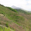 연중농장 이미지