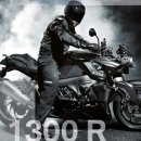 RR-98[도척로]-하-17 | K1300R 후기 퍼옴.