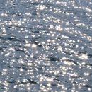 맑은윤슬의원 이미지