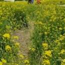 대저생태공원 이미지