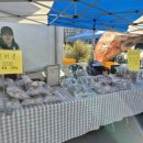 신기새마을영농조합법인 이미지