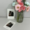 이런PC하우스 | W.17 비즈하우스 2단청첩장 셀프제작후기(비용,봉투)