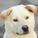 둥이 이미지
