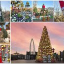 옥정호로 이미지