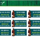 민코스메틱