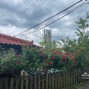 야촌원두막 이미지