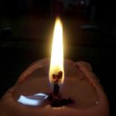 채움농장 이미지