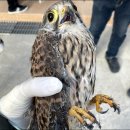 광주광역시 야생동물구조관리센터 이미지