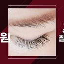 24시속눈썹잘하는집