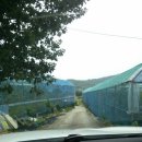 오계리농장 이미지